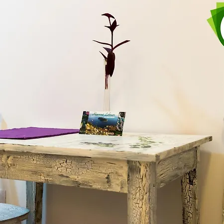 Old Town Budget Apartment *