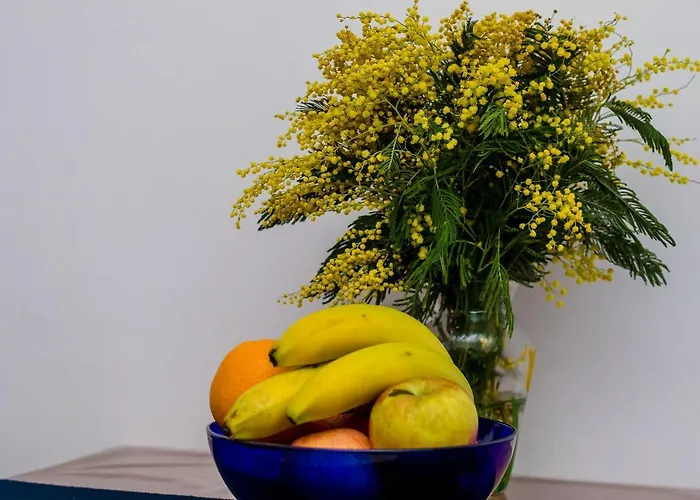 아파트 Old Town Budget 두브로브니크